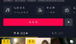 吃瓜网红资料视频下载,资料视频下载背后的故事