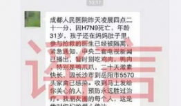 山西吃瓜协会官网首页,探寻山西特色瓜果文化之旅