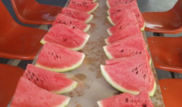 网红吃瓜和大咖,揭秘娱乐圈幕后真相